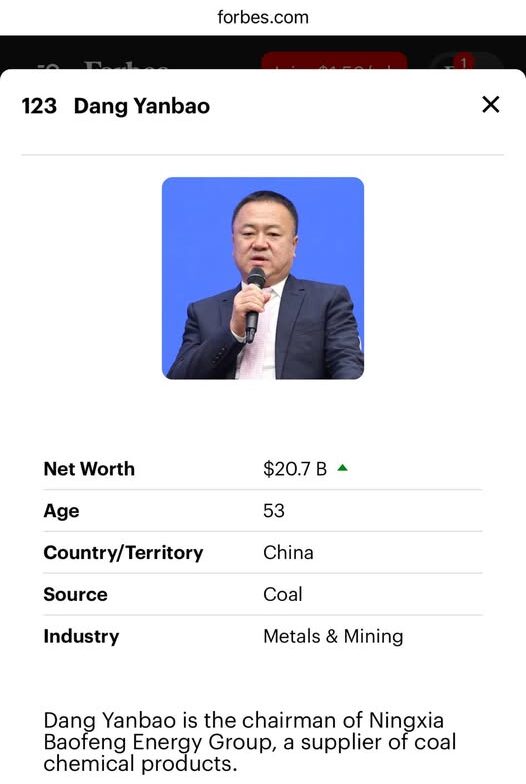Baofeng Energy founder